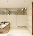 S38 BAÑO PPAL2